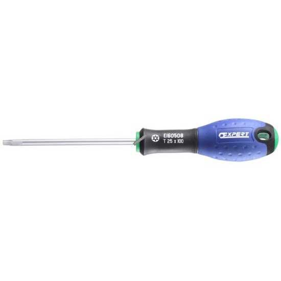 EXPERT SCREWDRIVER T30X125 [E160510]